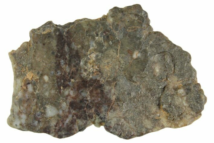 Lunar Meteorite ( g) Section - Laayoune #360217